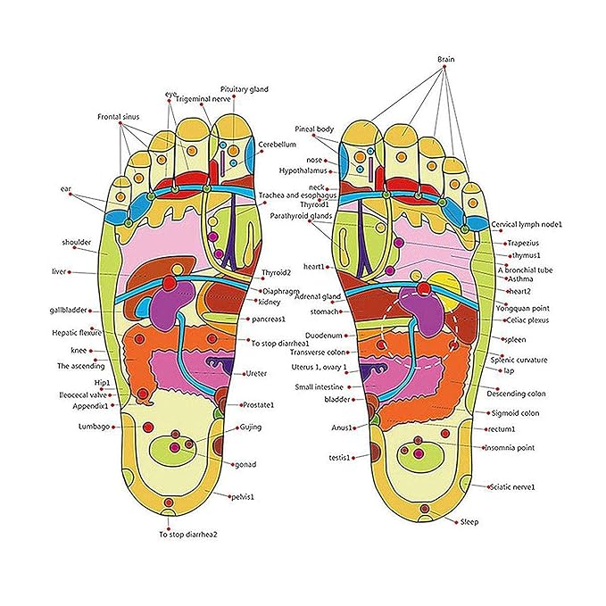 DAZIBAO® Spring Acupressure and Magnetic Therapy Accu Paduka Slippers Foot Massager for Full Body Blood Circulation Slippers Foot Massager - Image 4